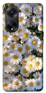 Чохол на Oppo A98 Поле ромашок фото 1 з 1