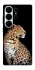 Чехол на Samsung Galaxy S26 Ultra Leopard v2 фото 1 из 1
