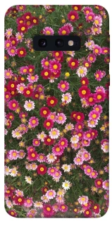 Чохол на Samsung Galaxy S10e Flowers v8 фото 1 з 1