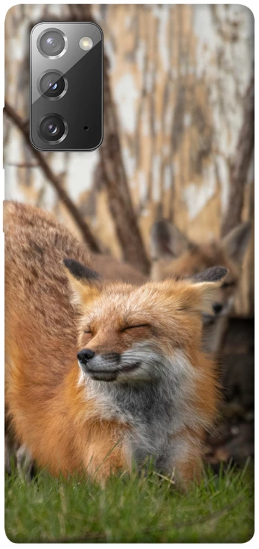 Чехол на Samsung Galaxy Note 20 Лиса фото 1 из 1