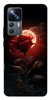 Чехол на Xiaomi 12T / 12T Pro Красная роза фото 1 из 1
