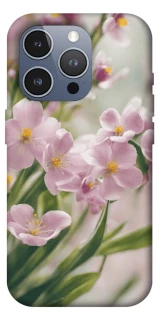 Чохол на Apple iPhone 16 Pro Max Spring фото 1 з 1