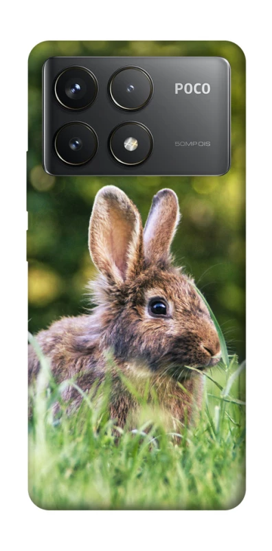 Чохол на Xiaomi Poco F6 Pro Кролики фото 1 з 1
