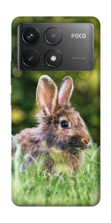 Чохол на Xiaomi Poco F6 Pro Кролики фото 1 з 1