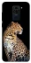 Чехол на Xiaomi Redmi Note 9 / Redmi 10X Leopard v2 фото 1 из 1