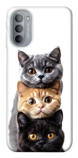 Чохол на Motorola Moto G31 Гарні котики фото 1 з 1