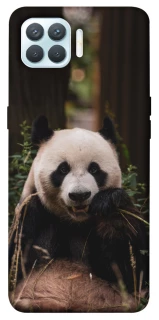 Чехол на Oppo F17 Pro Панда фото 1 из 1