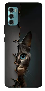 Чехол на Motorola Moto G60 Кот-подглядыватель v2 фото 1 из 1