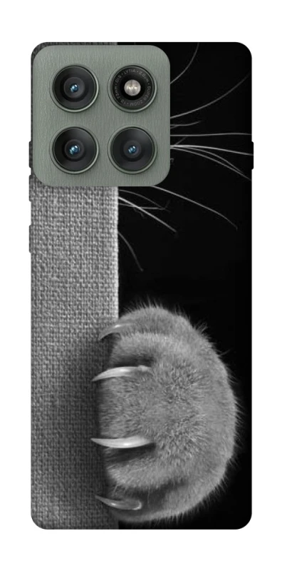Чехол на Motorola Edge 60 Pro Spy Cat фото 1 из 1