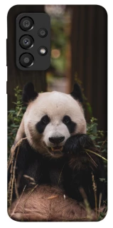Чехол на Samsung Galaxy A33 5G Панда фото 1 из 1