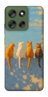 Чохол на Motorola Moto G56 5G cats on wall фото 1 Чохол на Motorola Moto G56 5G cats on wall фото 1 з 1