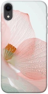 Чохол на Apple iPhone XR (6.1") Flowers zon фото 1 Чохол на Apple iPhone XR (6.1") Flowers zon фото 1 з 1