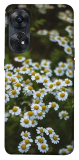 Чохол на Oppo Reno 8T 4G Ромашки v13 фото 1 з 1
