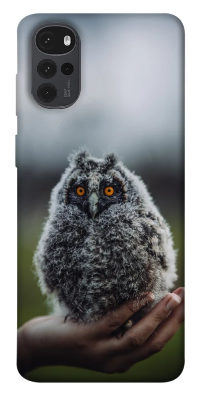 Чохол на Motorola Moto G22 Совеня фото 1 з 1