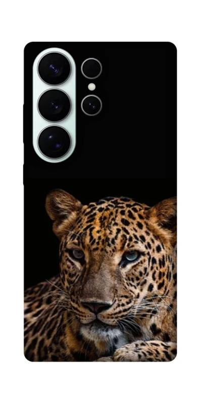 Чохол на Samsung Galaxy S26 Leopard v4 фото 1 з 1