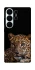 Чохол на Samsung Galaxy S26 Leopard v4 фото 1 з 1