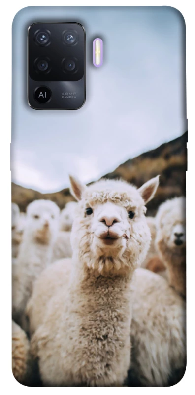 Чохол на Oppo A94 Лама фото 1 з 1