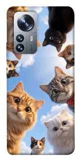 Чехол на Xiaomi 12 / 12X Cats фото 1 из 1