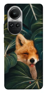 Чехол на Oppo Reno 10 Fox фото 1 из 1