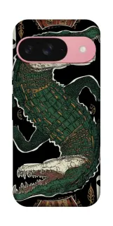 Чехол на Google Pixel 9 Joker фото 1 из 1