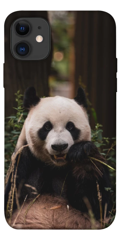 Чохол на Apple iPhone 11 (6.1") Панда фото 1 з 1
