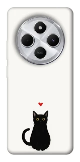 Чохол на Xiaomi Redmi 14C / Poco C75 cat in love фото 1 Чохол на Xiaomi Redmi 14C / Poco C75 cat in love фото 1 з 1