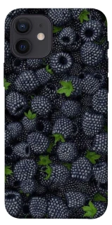 Чохол на Apple iPhone 12 (6.1") Fresh фото 1 з 1