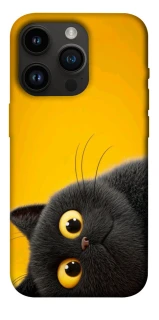 Чохол на Apple iPhone 14 Pro (6.1") This is Cat фото 1 з 1