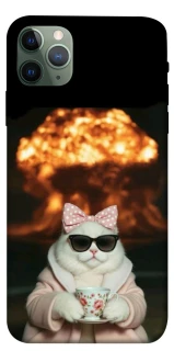 Чохол на Apple iPhone 11 Pro Max (6.5") Exploding Kittens ver.2 фото 1 з 1