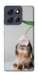 Чохол на Motorola Moto G86 Bunny фото 1 з 1