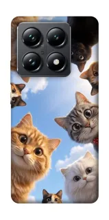 Чехол на Xiaomi 14T Pro Cats фото 1 из 1