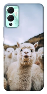 Чохол на Infinix Hot 12 Play Лама фото 1 з 1