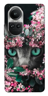 Чехол на Oppo Reno 10 Кот в цветах фото 1 из 1