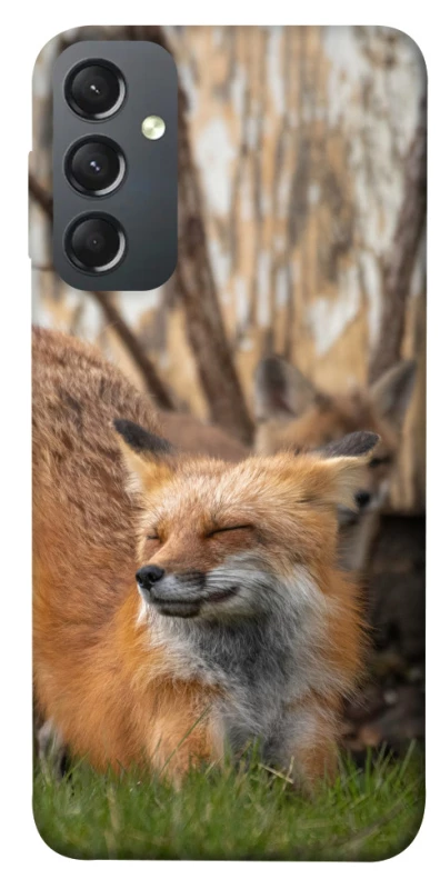 Чехол на Samsung Galaxy A24 4G Лиса фото 1 из 1