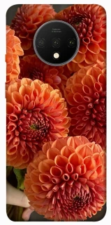 Чохол на OnePlus 7T Flower1 фото 1 з 1