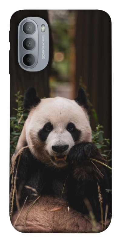 Чехол на Motorola Moto G31 Панда фото 1 из 1