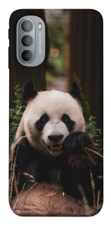 Чехол на Motorola Moto G31 Панда фото 1 из 1