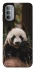 Чехол на Motorola Moto G31 Панда фото 1 из 1