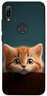 Чохол на Huawei Y6 (2019) Чохол Кошеня фото 1 з 1