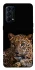 Чехол на Oppo Reno 5 4G Leopard v4 фото 1 из 1