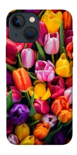 Чехол на Apple iPhone 13 mini (5.4") Flowers v30 фото 1 из 1