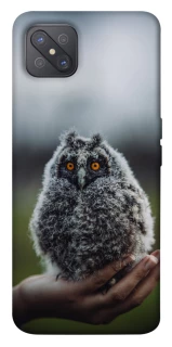 Чехол на Oppo A92s Совёнок фото 1 из 1