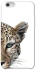 Чохол на Apple iPhone 6/6s (4.7") Leopard Art v2 фото 1 з 1