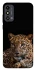 Чохол на ZTE Blade A53 Leopard v4 фото 1 з 1