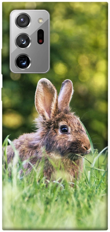 Чехол на Samsung Galaxy Note 20 Ultra Кролики фото 1 из 1
