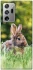 Чехол на Samsung Galaxy Note 20 Ultra Кролики фото 1 из 1