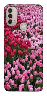 Чохол на Motorola Moto E40 Flowers v9 фото 1 з 1