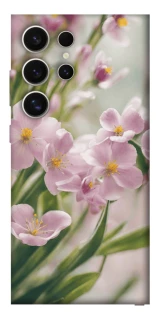 Чохол на Samsung Galaxy S25 Ultra Spring фото 1 з 1