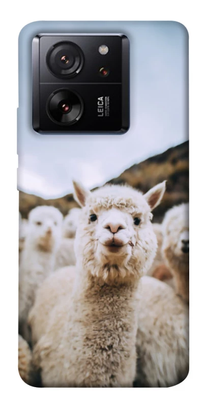 Чохол на Xiaomi 13T Лама фото 1 з 1