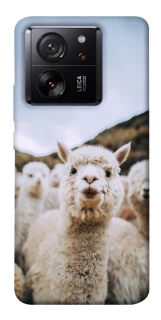 Чохол на Xiaomi 13T Лама фото 1 з 1